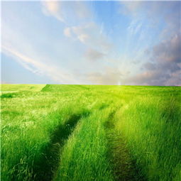 美博士環保科技公司新聞 公司地址