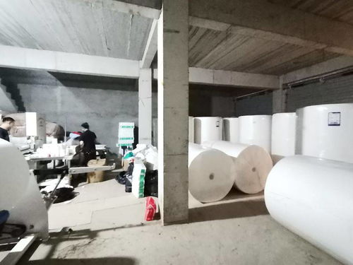 衛(wèi)生紙加工廠的環(huán)保挑戰(zhàn)與綠色科技轉(zhuǎn)型之路